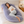 RESTORA Contour Maternity Body Pillow – Full Body Comfort Pillow