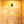 RESTORA 1-person Traditional Steam Sauna